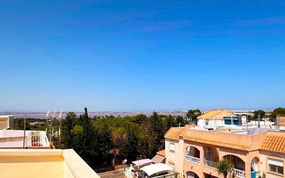 2 bedroom Bungalow in Torrevieja - FPS145386 - Photo - Small - 21