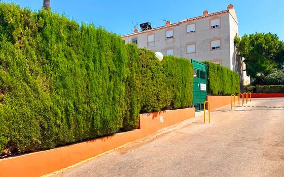 2 bedroom Bungalow in Torrevieja - FPS145386 - Photo - Small - 24