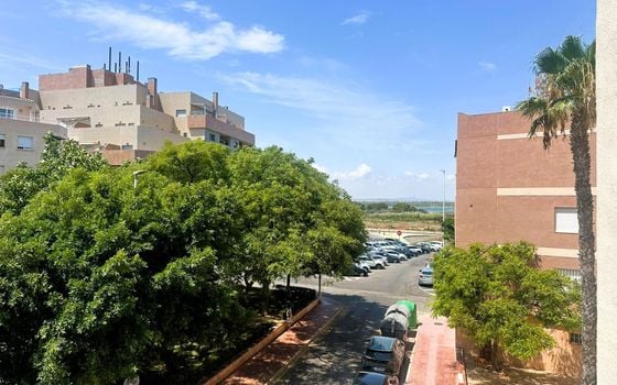 Apartament cu 1 dormitor în Torrevieja - GVS145424 - Imagini - Small - 14