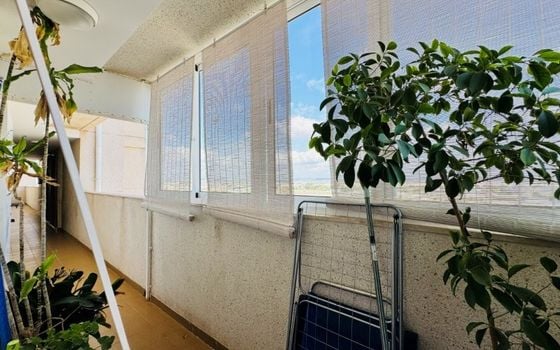 2 bedroom Apartment in Torrevieja - SMPN145425 - Photo - Small - 12