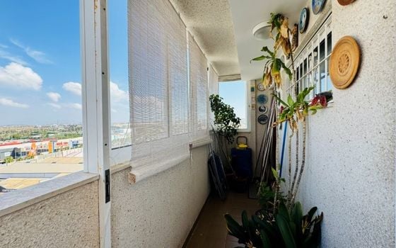 2 bedroom Apartment in Torrevieja - SMPN145425 - Photo - Small - 13