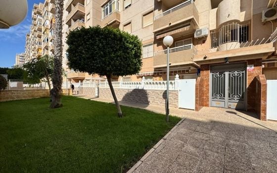 2 bedroom Apartment in Torrevieja - SMPN145425 - Photo - Small - 19
