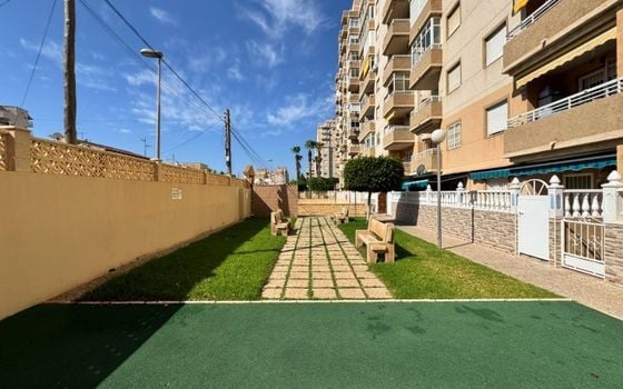 2 bedroom Apartment in Torrevieja - SMPN145425 - Photo - Small - 20