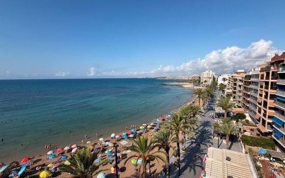 3 bedroom Apartment in Torrevieja - CT145438 - Photo - Small - 37
