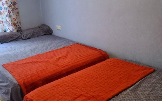 Appartement de 2 chambres à Torrevieja - PSA145590 - Photo - Small - 9