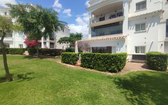 2 bedroom Apartment in Sucina - PSP145592 - Photo - Small - 22