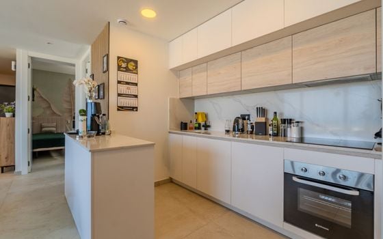3 bedroom Penthouse in Guardamar del Segura - SV145779 - Photo - Small - 9