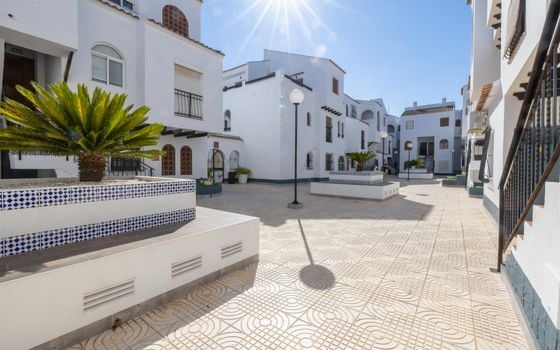 1 bedroom Apartment in Torrevieja - CI145948 - Photo - Small - 19