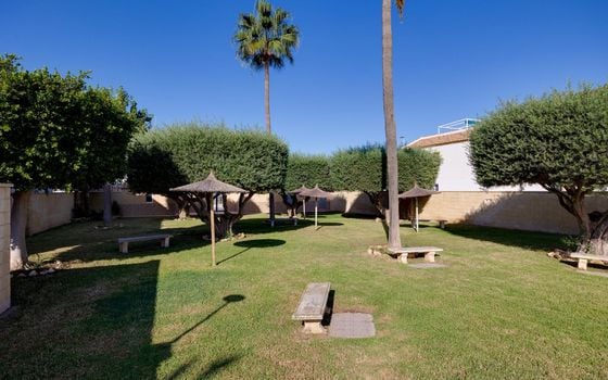Bungalow de 2 chambres à Torrevieja - MRS145988 - Photo - Small - 28