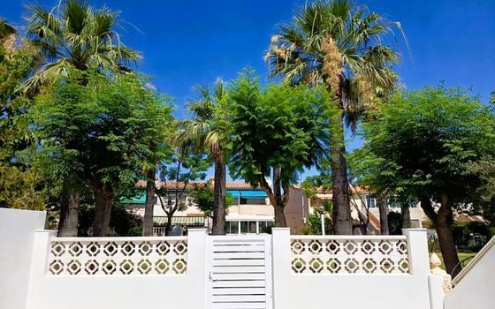Bungalow de 2 chambres à Orihuela Costa - CRR146032 - Photo - Small - 22