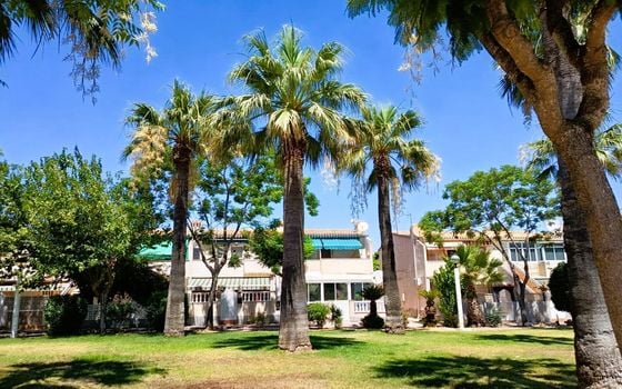 Bungalow de 2 chambres à Orihuela Costa - CRR146032 - Photo - Small - 24