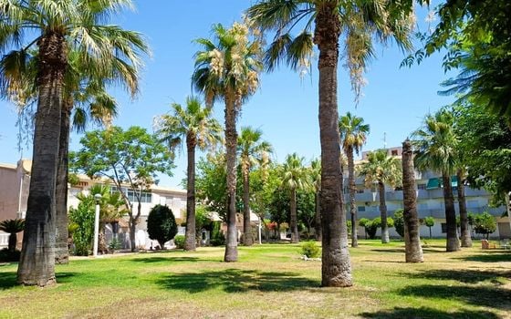 Bungalow de 2 chambres à Orihuela Costa - CRR146032 - Photo - Small - 25