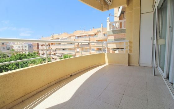 Appartement de 3 chambres à Torrevieja - ALM146034 - Photo - Small - 19