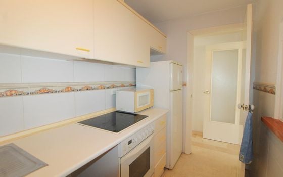 Apartamento de 3 habitaciones en Torrevieja - ALM146034 - Foto - 5