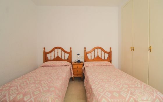 Appartement de 3 chambres à Torrevieja - ALM146034 - Photo - Small - 9