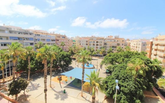 Apartamento de 3 habitaciones en Torrevieja - ALM146034 - Foto - 1