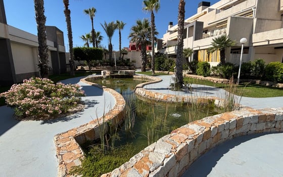 2 bedroom Apartment in Torrevieja - CBW146037 - Photo - Small - 19