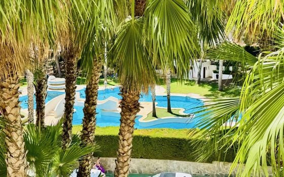 Appartement de 1 chambre à Orihuela Costa - CT146042 - Photo - 2