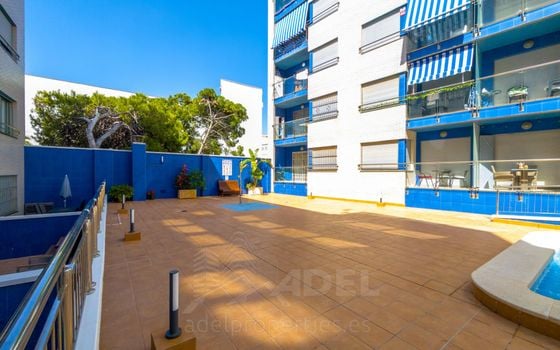 2 bedroom Apartment in Torrevieja - AP146109 - Photo - Small - 18