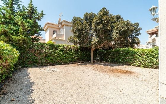 3 bedroom Villa in Playa Flamenca - RPF146197 - Photo - Small - 20