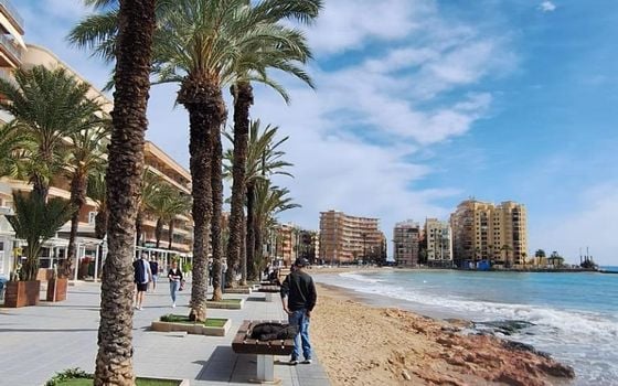 3 bedroom Apartment in Torrevieja - VEC146327 - Photo - Small - 15