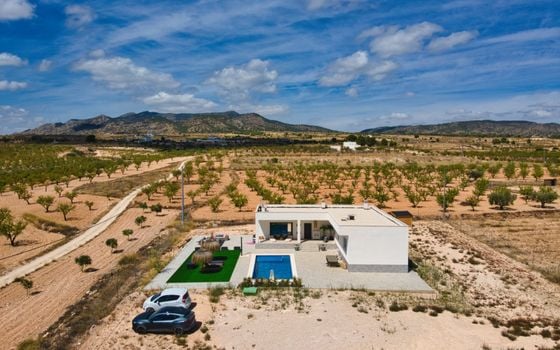 Villa de 3 chambres à Pinoso - SLN146389 - Photo - Small - 25
