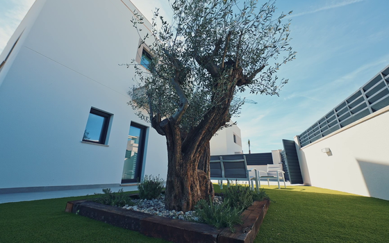 Villa de 3 chambres à San Miguel de Salinas - LH37232 - Photo - Small - 22
