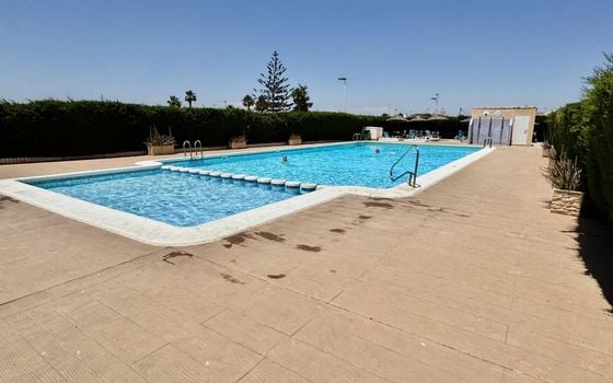 1 bedroom Townhouse in Torrevieja - CT146441 - Photo - Small - 27