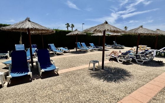 1 bedroom Townhouse in Torrevieja - CT146441 - Photo - Small - 29