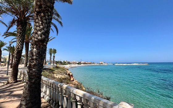 2 bedroom Apartment in Pilar de la Horadada - SV146703 - Photo - Small - 23