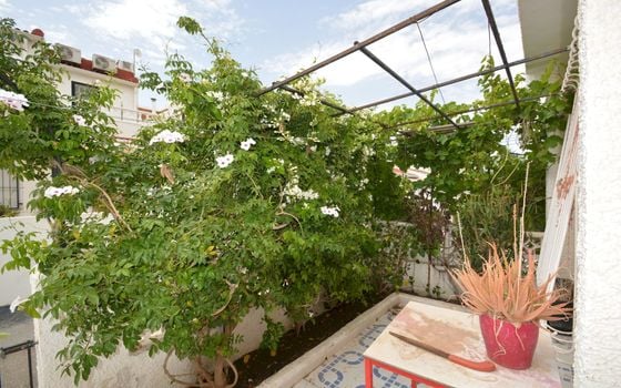 Townhouse de 4 chambres à Torrevieja - LCP146859 - Photo - Small - 28