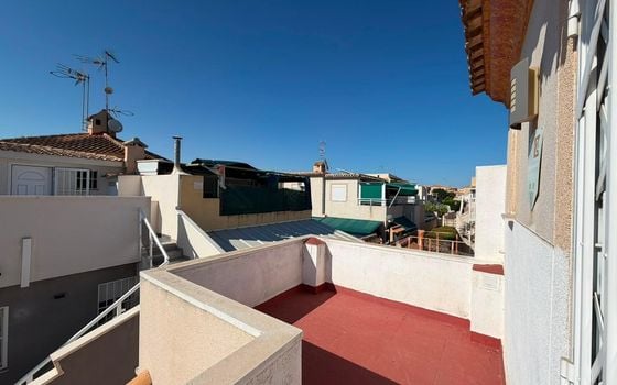 Villa de 3 chambres à Torrevieja - SV146863 - Photo - Small - 21