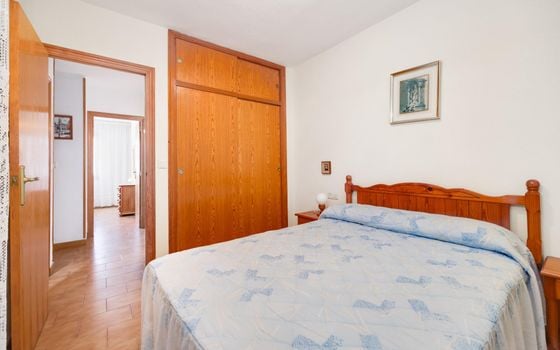 3 bedroom Bungalow in Torrevieja - CYM146972 - Photo - Small - 15