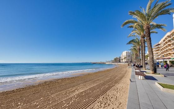 3 bedroom Bungalow in Torrevieja - CYM146972 - Photo - Small - 43