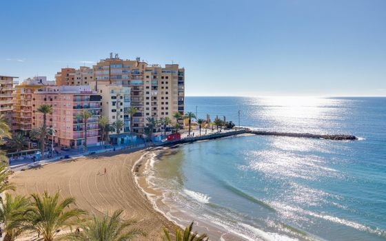 3 bedroom Bungalow in Torrevieja - CYM146972 - Photo - Small - 45