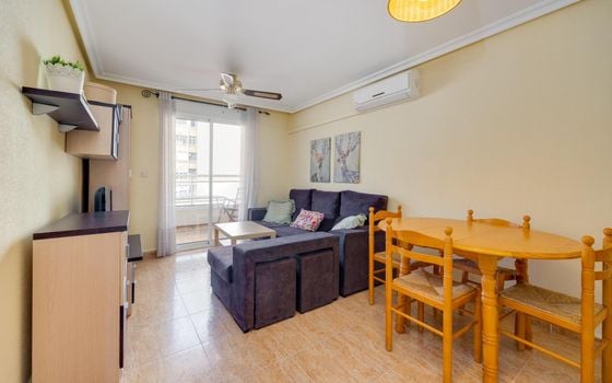 2 bedroom Apartment in Torrevieja - CYM146973 - Photo - Small - 6
