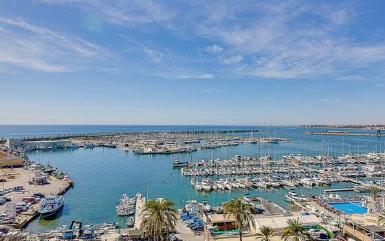 2 bedroom Apartment in Torrevieja - CYM146973 - Photo - Small - 39