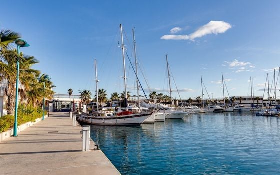 2 bedroom Apartment in Torrevieja - CYM146973 - Photo - Small - 35