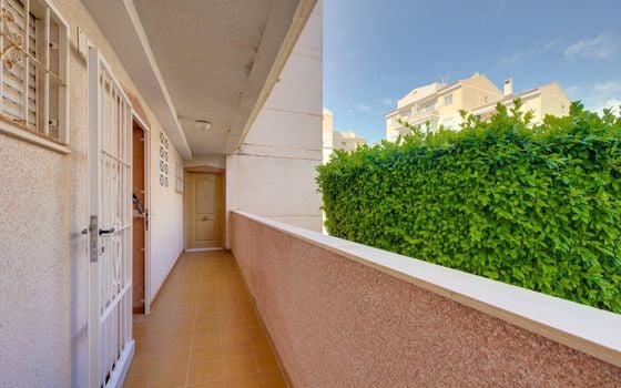 2 bedroom Apartment in Torrevieja - CYM146977 - Photo - Small - 22