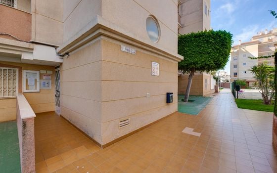 2 bedroom Apartment in Torrevieja - CYM146977 - Photo - Small - 24
