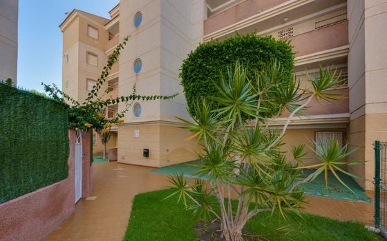 2 bedroom Apartment in Torrevieja - CYM146977 - Photo - Small - 26