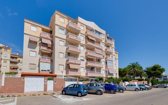 2 bedroom Apartment in Torrevieja - CYM146977 - Photo - Small - 31