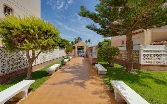 2 bedroom Apartment in Torrevieja - CYM146977 - Photo - Small - 27