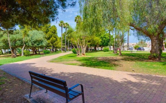 2 bedroom Apartment in Torrevieja - CYM146977 - Photo - Small - 29