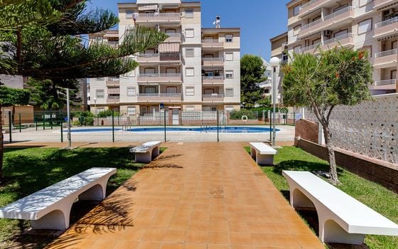 2 bedroom Apartment in Torrevieja - CYM146977 - Photo - Small - 28