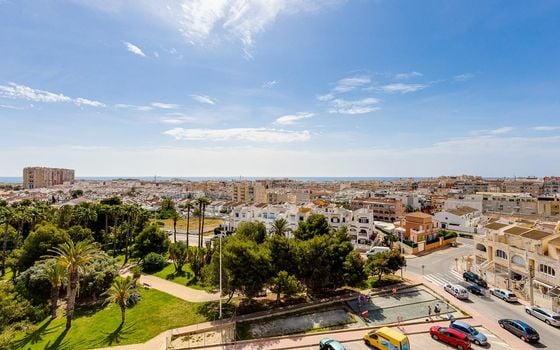 2 bedroom Apartment in Torrevieja - CYM146977 - Photo - Small - 33