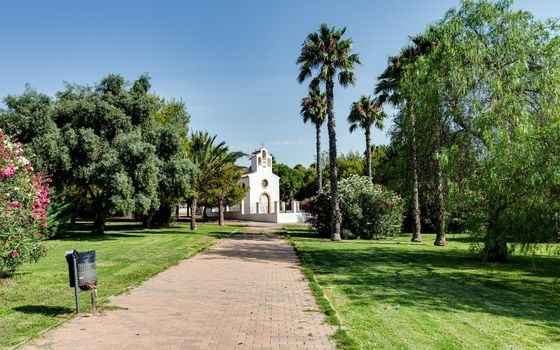 2 bedroom Apartment in Torrevieja - CYM146977 - Photo - Small - 34