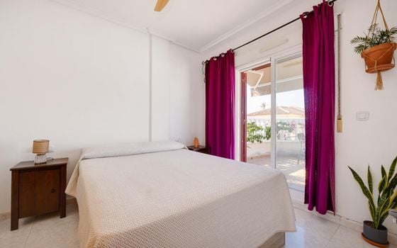 Villa de 2 chambres à Torrevieja - CYM146982 - Photo - Small - 14