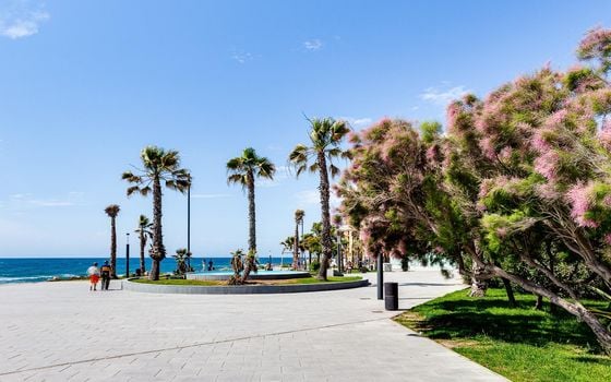 2 bedroom Apartment in Torrevieja - CYM146983 - Photo - Small - 26