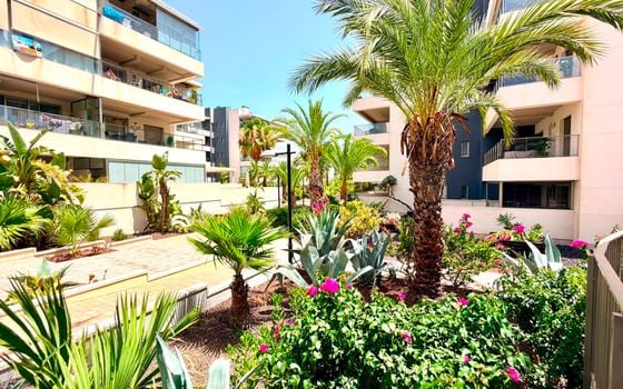 Appartement de 2 chambres à Orihuela Costa - BCH147051 - Photo - Small - 22
